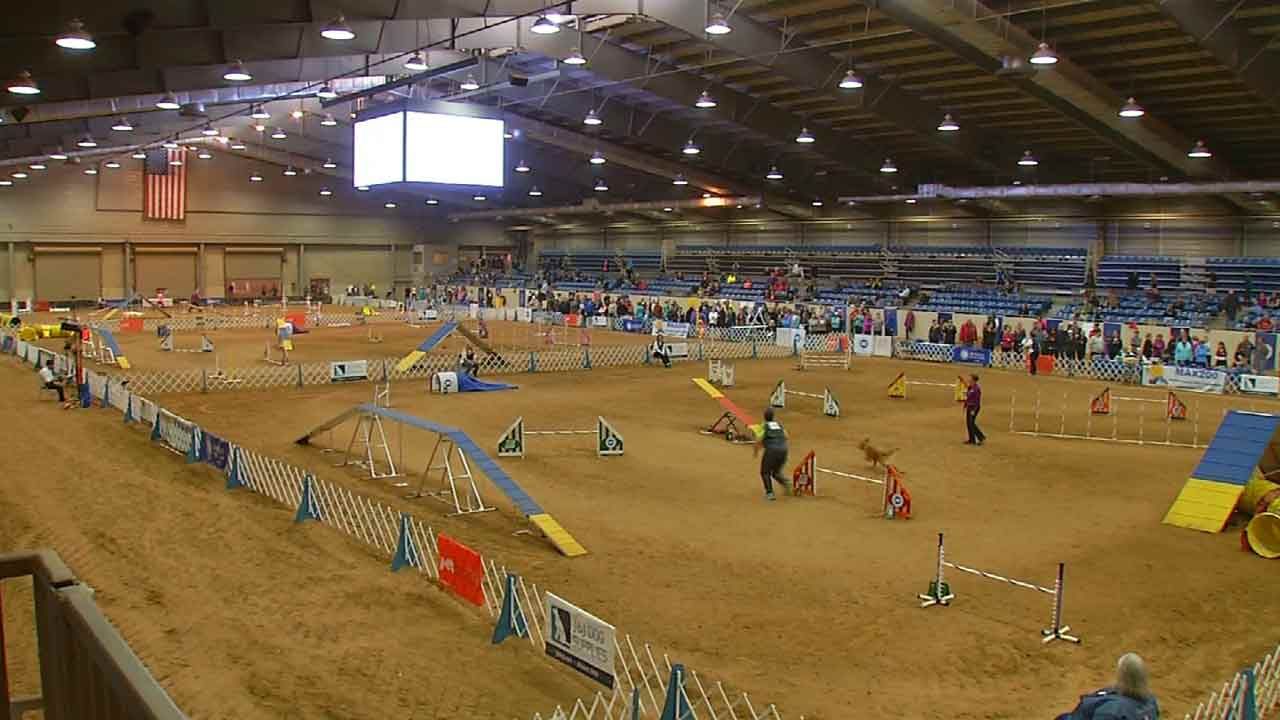 Top Dogs In Tulsa For National Agility Championships