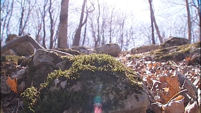 Restoration On Tishomingo National Wildlife Refuge To Begin