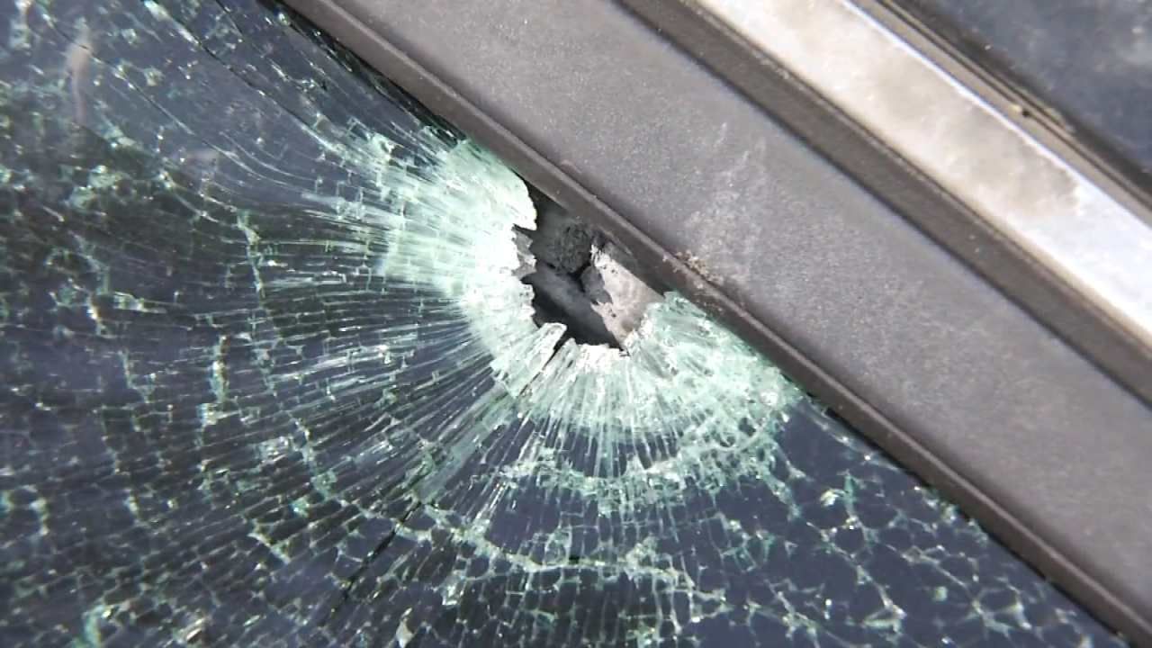 Tulsa Police: Man Driving With Dog When Car Shot