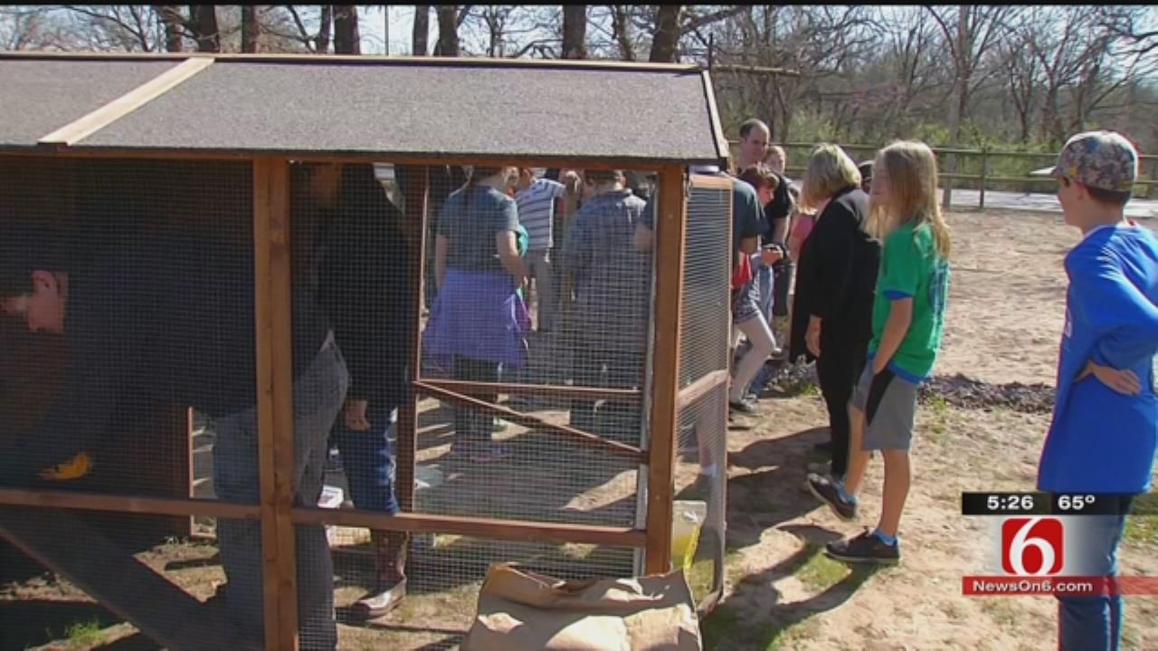 Tulsa Middle School Students Build Coop, Raise Laying Hens
