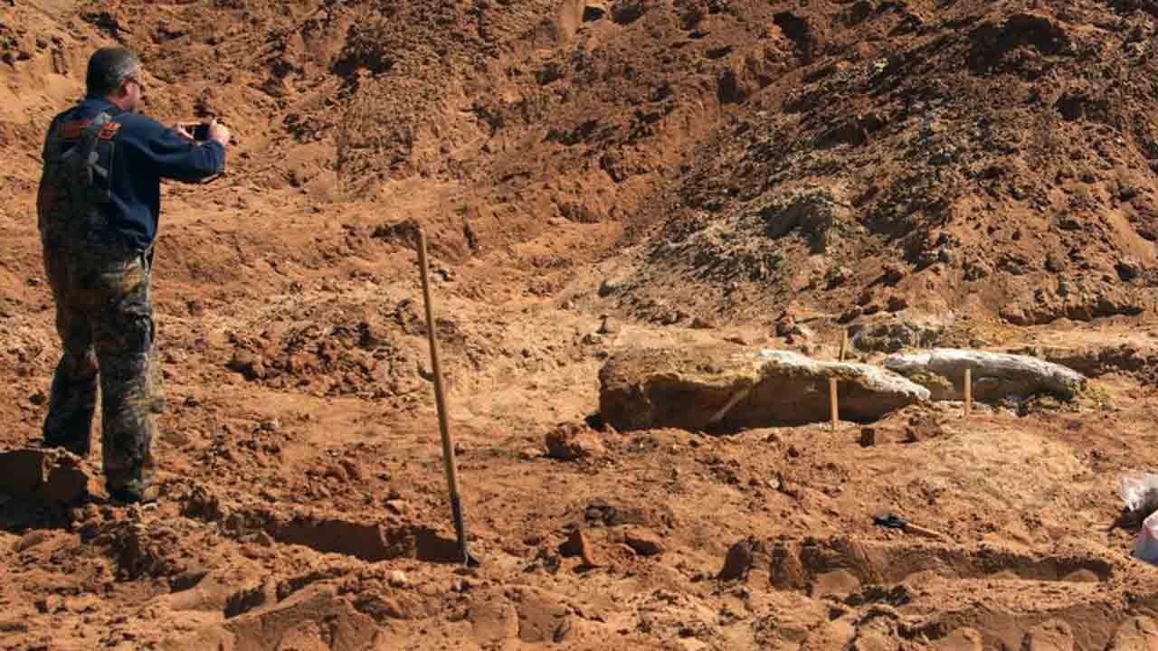 Mammoth Skull Unearthed Near Alva