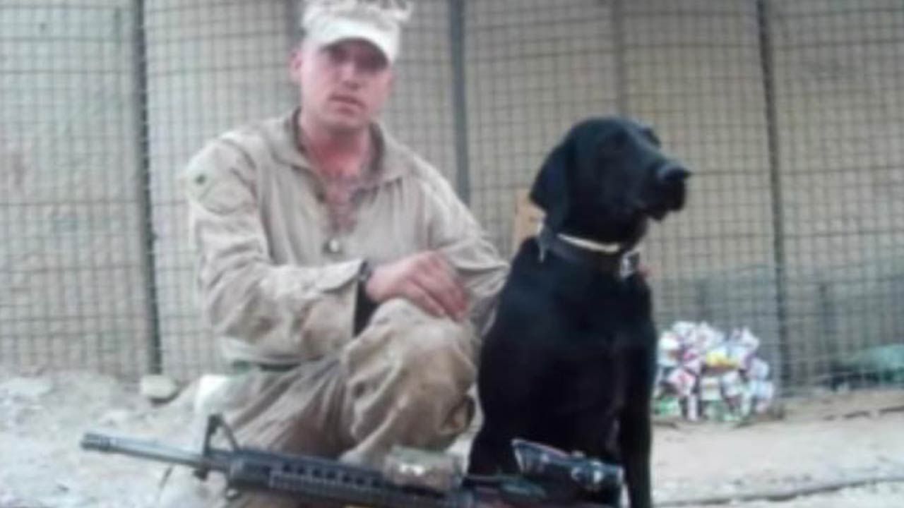 Afghanistan Vet Reunites With Dog, Shares Story In Documentary