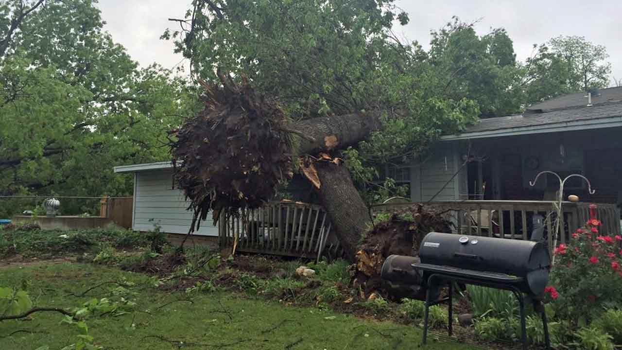 Trees Slam Into Elderly Tulsa Couple's Home
