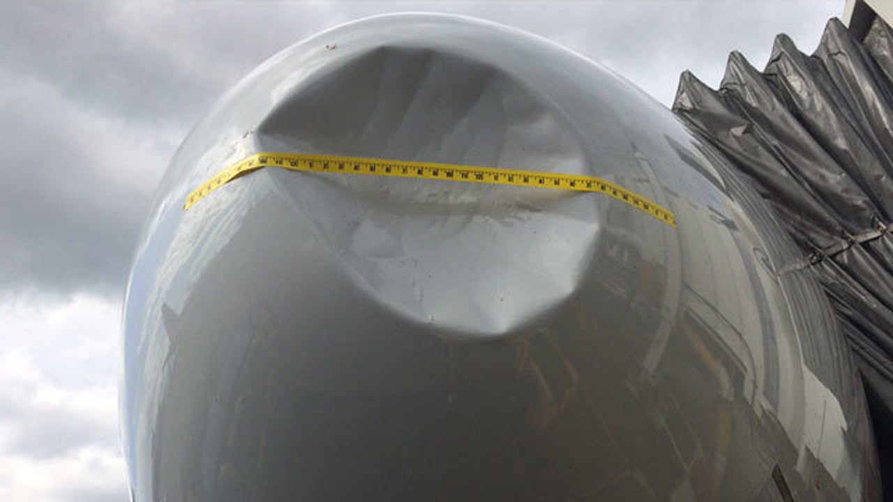 Bird Strike Leaves Dent In Nose Of American Airlines Jet
