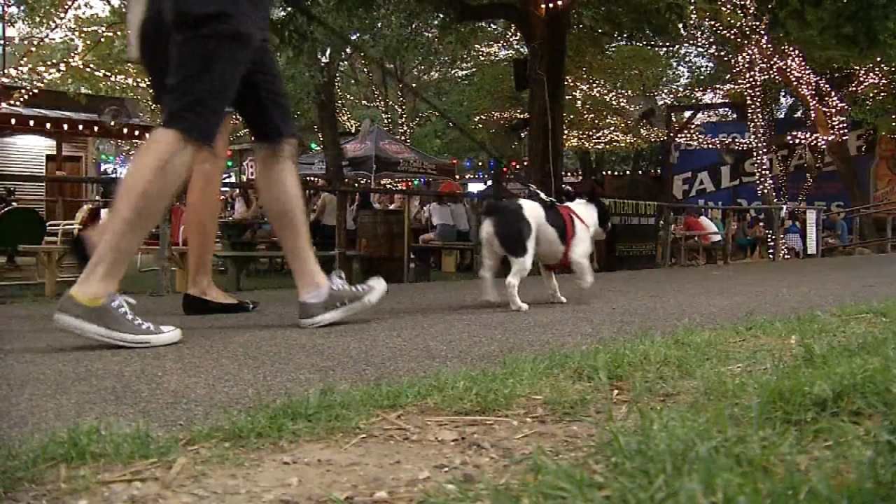 Tulsa Councilors Visit Dallas Developments