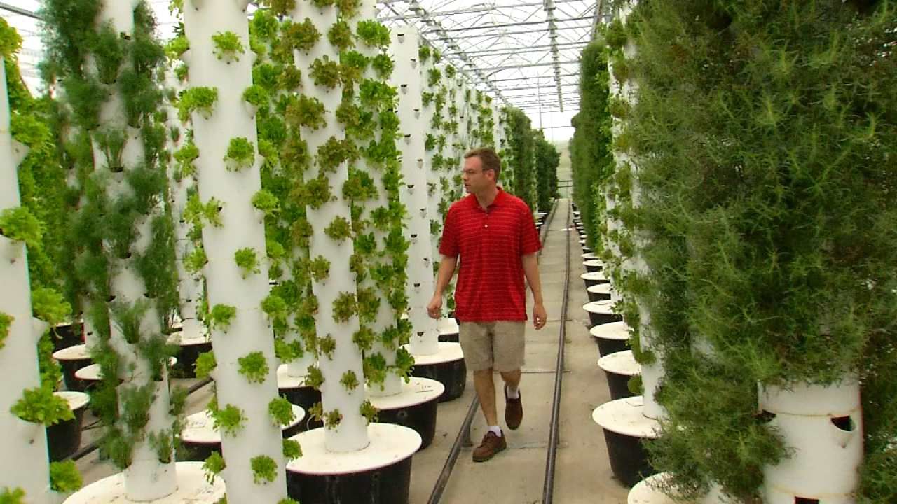 Tulsa Entrepreneurs Feed Need For Local, Fresh Green Veggies