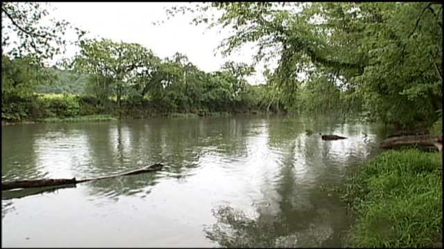Tree Falls On Tent Full Of Campers Near Tahlequah