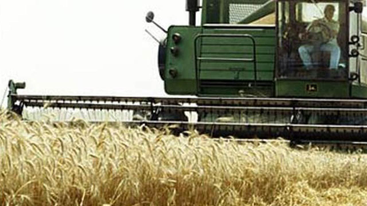Oklahoma Wheat Harvest Expected To Be Best In Years