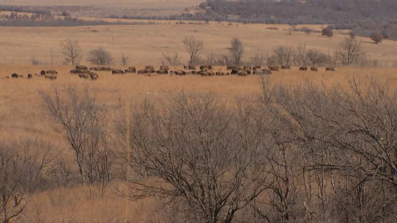 Osage Nation Buys Ted Turner's Bluestem Ranch