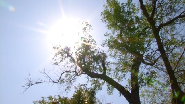 EMSA Issues Another Heat Alert For Tulsa After 8 Taken To Hospital