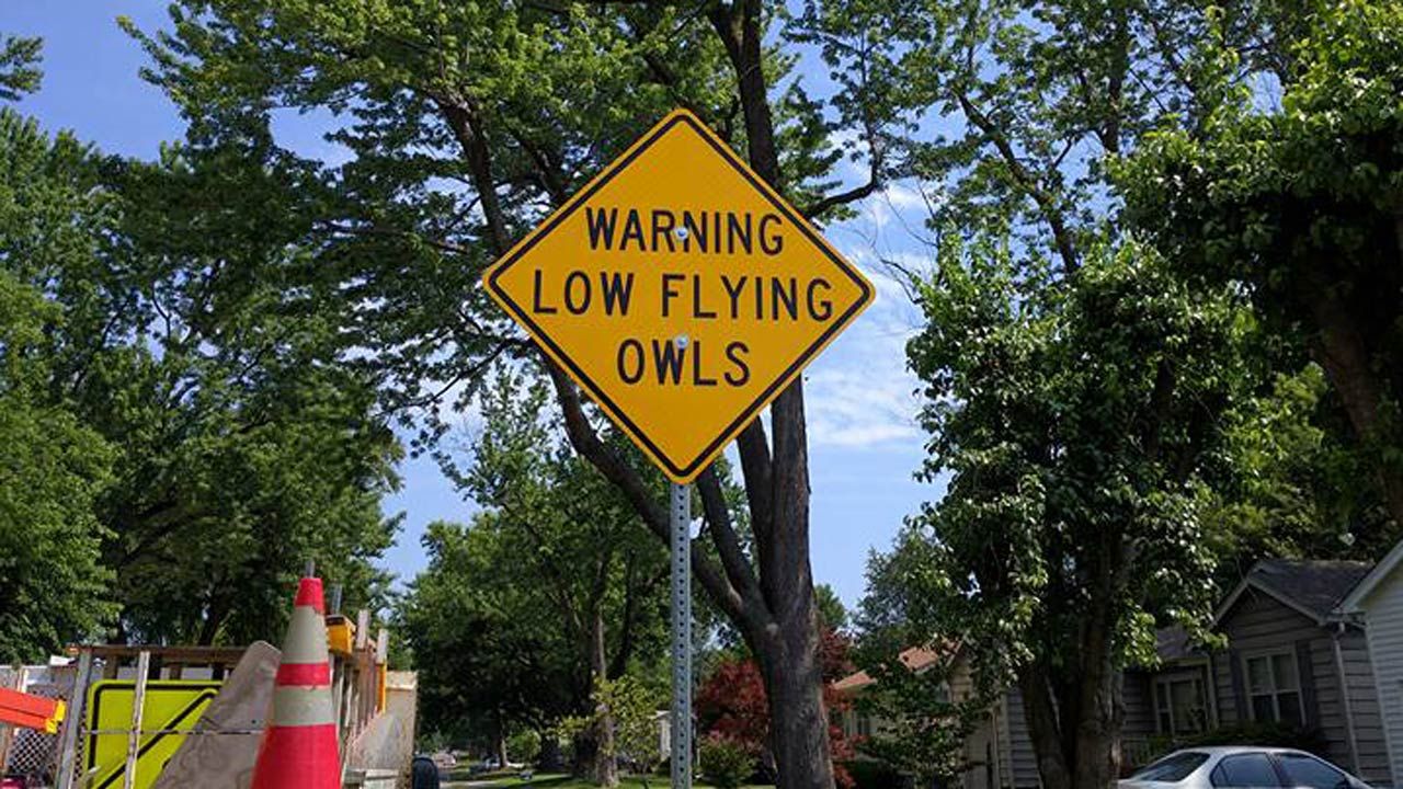 'Low Flying Owls' Signs Installed In Tulsa Neighborhood