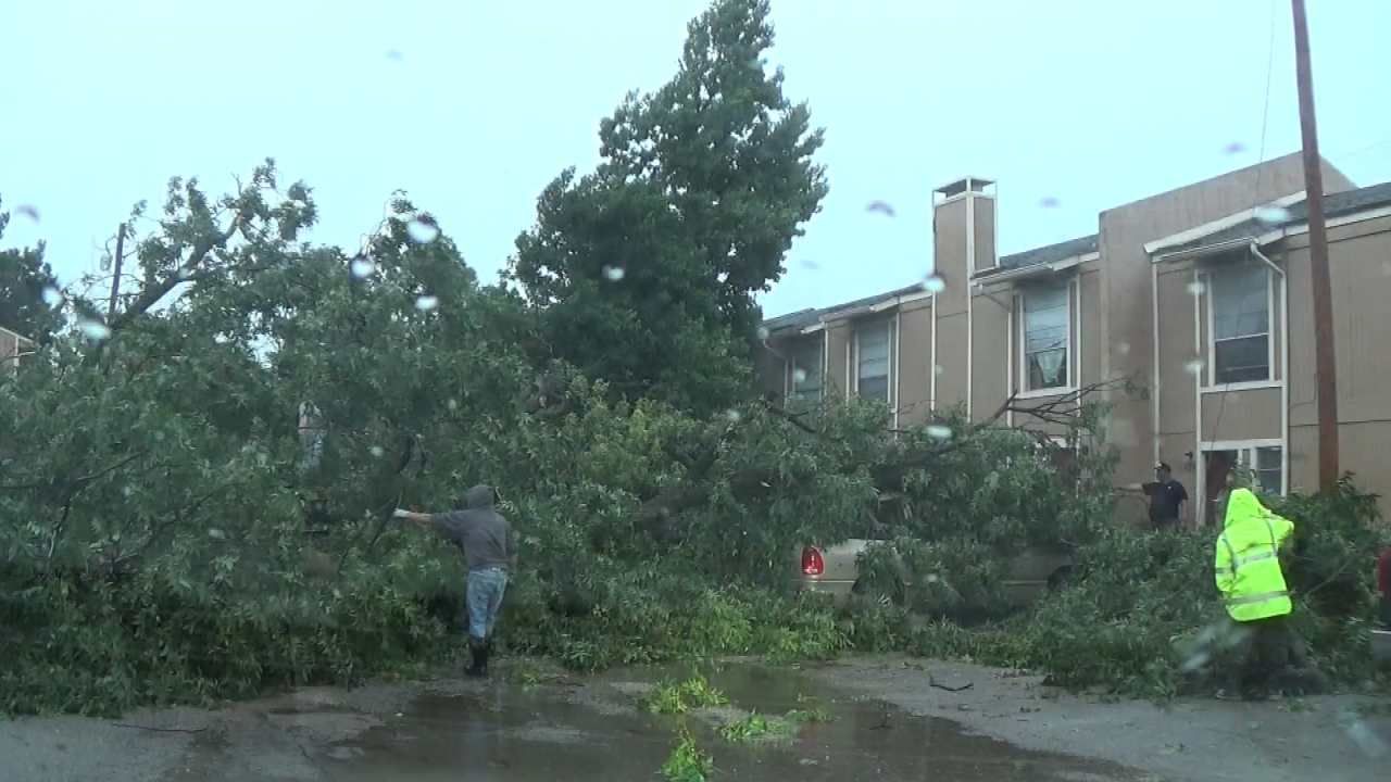 City To Collect Greenwaste In Areas Impacted By Recent Windstorm