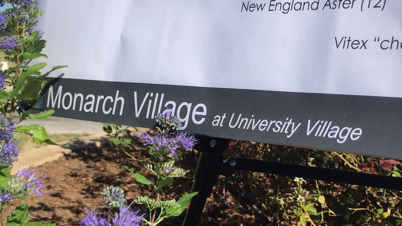 Monarch Waystation To Open As Part Of Tulsa Beautification Project