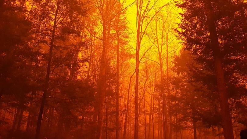 Gatlinburg Mayor Confirms 3 Dead In Tennessee Wildfires