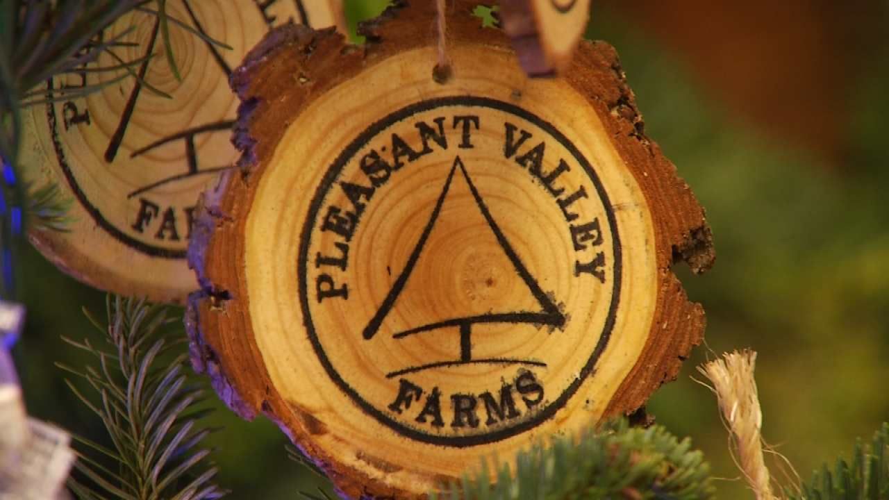 Green Country Farm Offers Unique Holiday Experience
