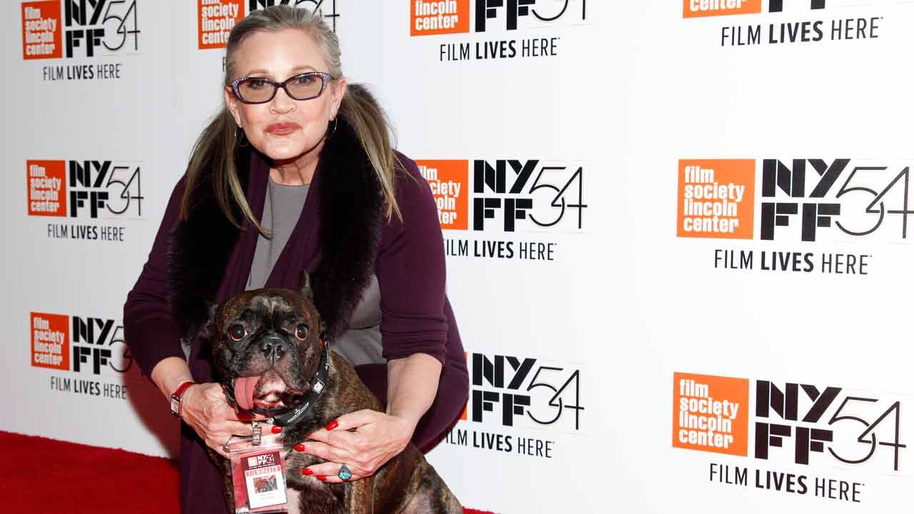 Reports: Carrie Fisher Suffers Heart Attack On Flight To Los Angeles