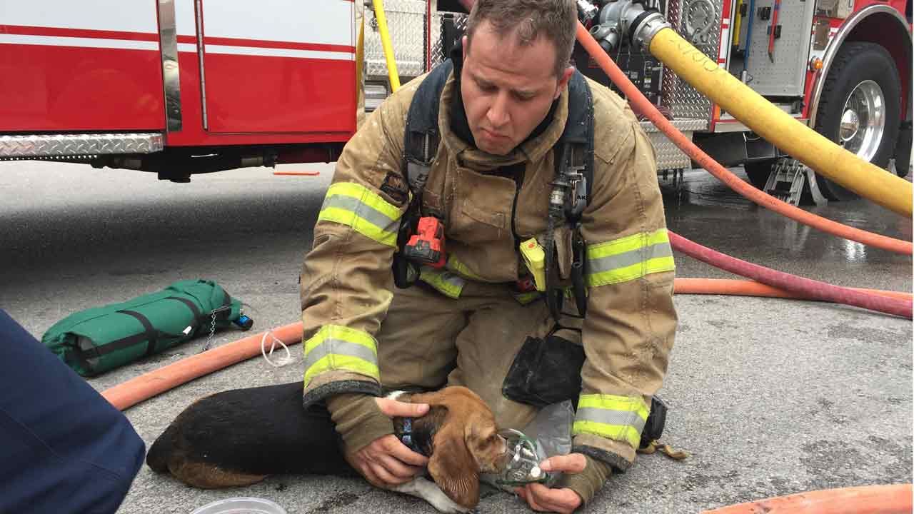 Dog Rescued In Owasso House Fire