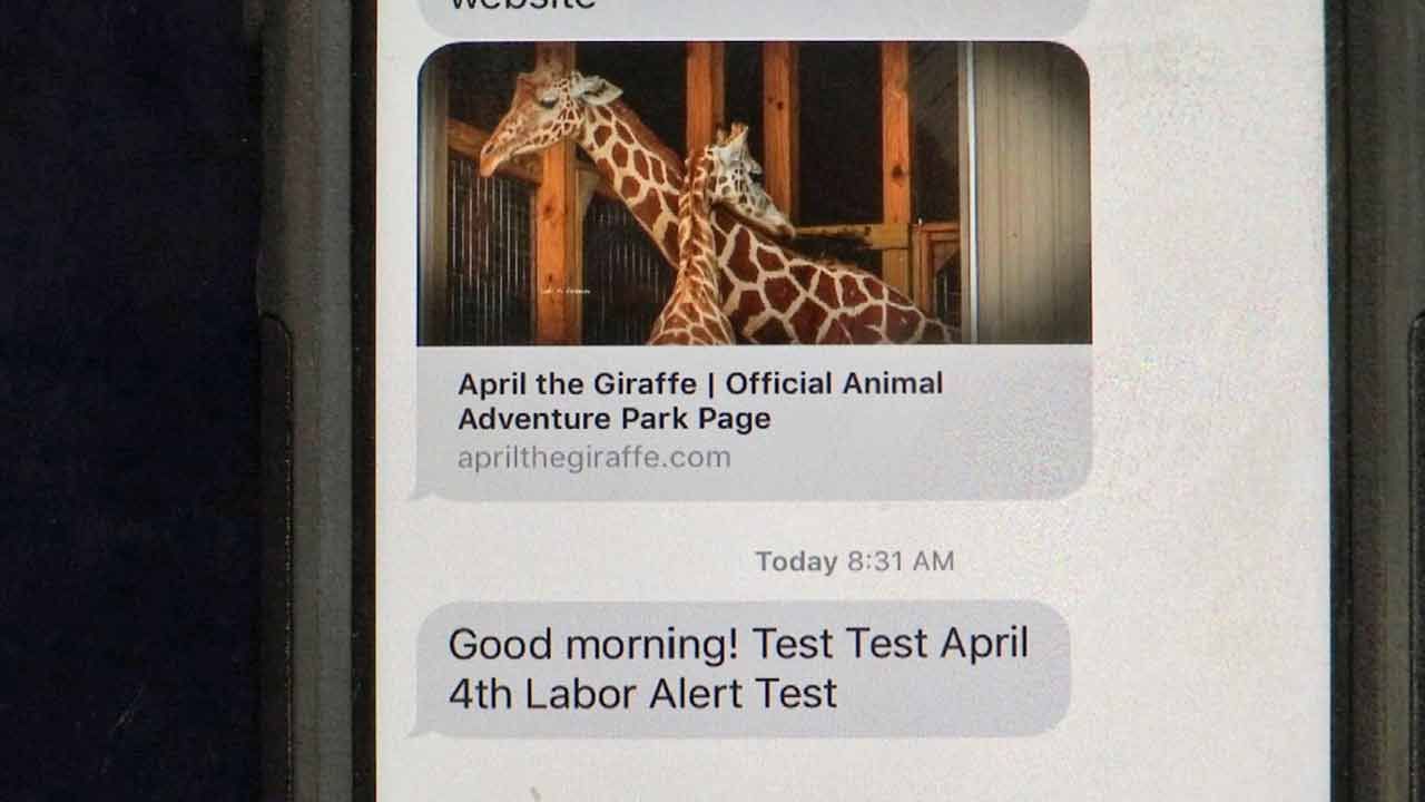 Jay Man Writing Text Alerts For April The Giraffe