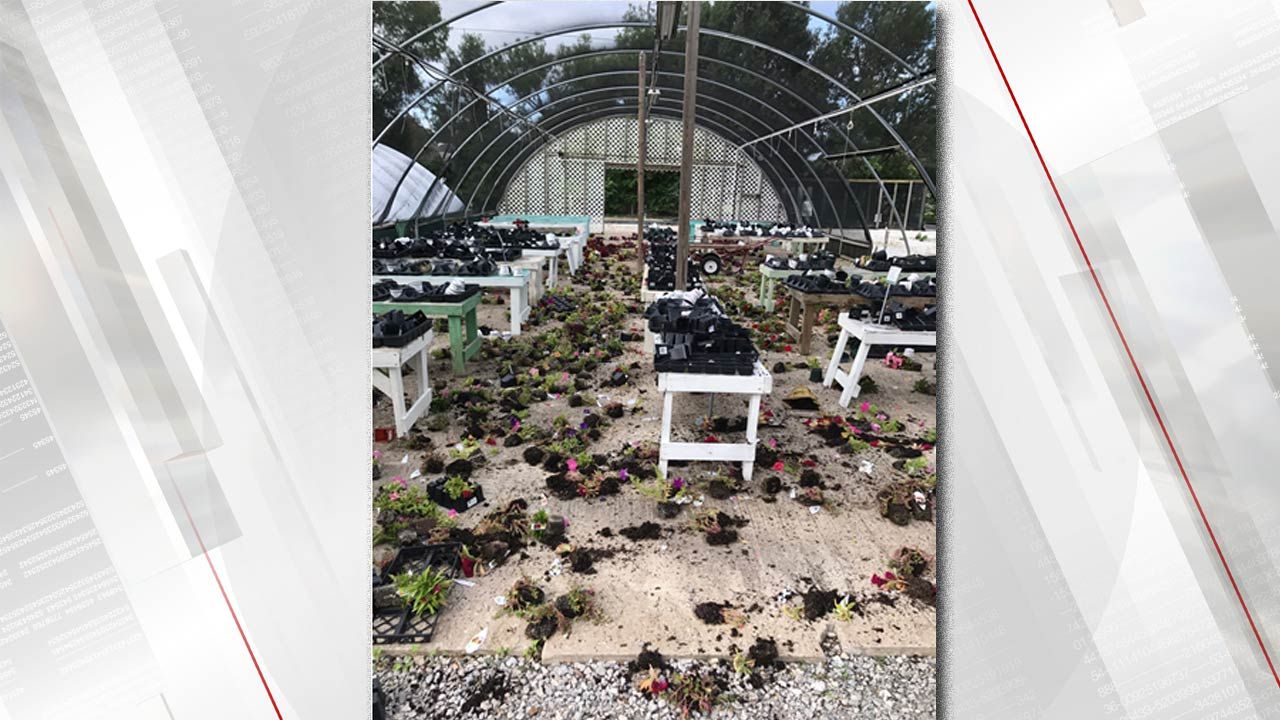 Retail Garden Center At A New Leaf In Broken Arrow Vandalized
