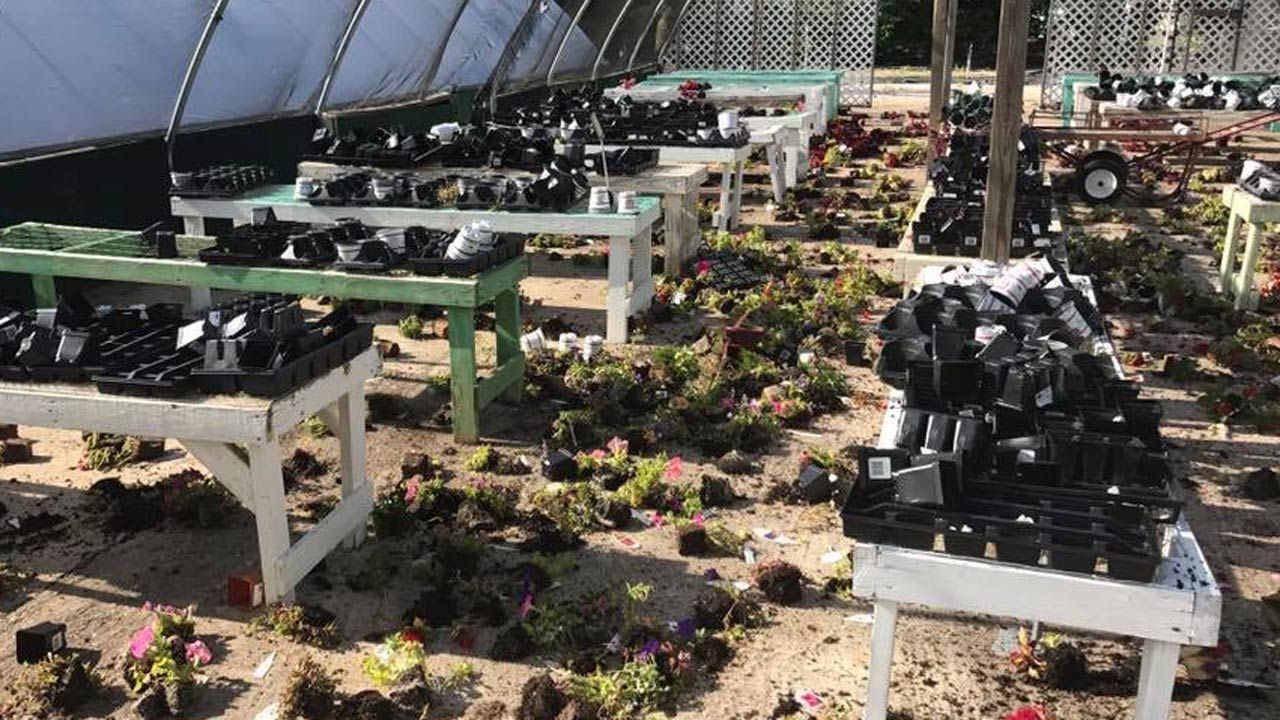 Vandals Damage 'A New Leaf' Non-Profit In Broken Arrow