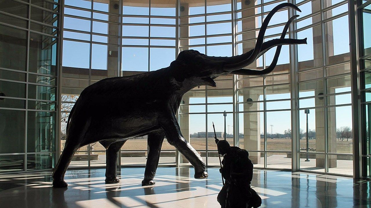 Norman Museum Celebrates 30 Years As State's Natural History Museum