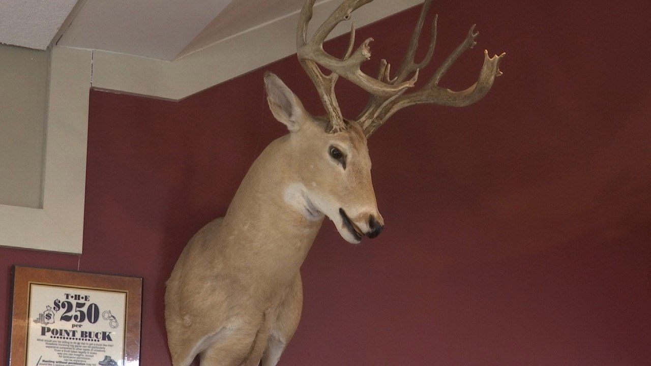 Rogers County Driver Warns Of Deer On Tulsa-Area Highways