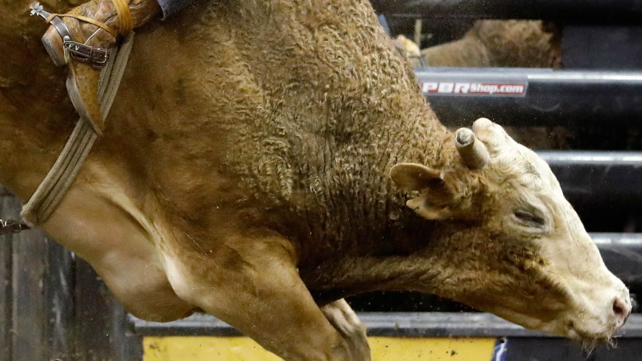 Bull Rider Faces Possible Brain Injury After Being Knocked Unconscious In Oologah Event