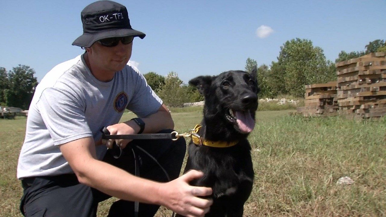 Oklahoma Search, Rescue Dogs Ready To Help With Harvey