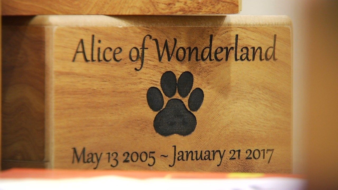 Tulsa Pet Funeral Home Provides Comfort For Animal Lovers