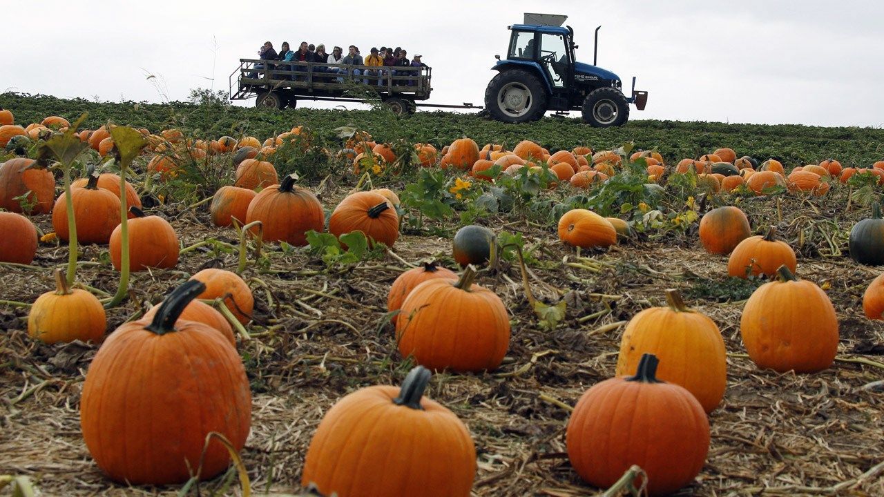 Green Country Guide To Fall Activities