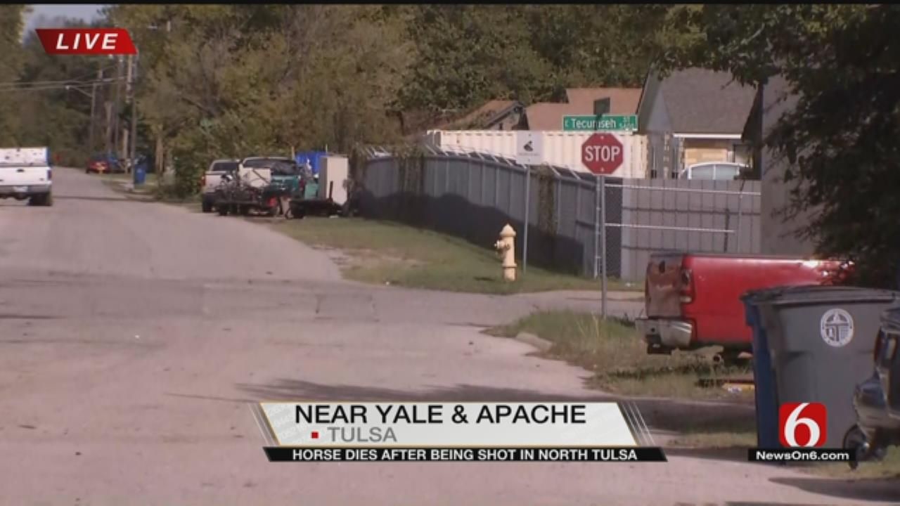 Death Of Horse Being Investigated By Tulsa Police