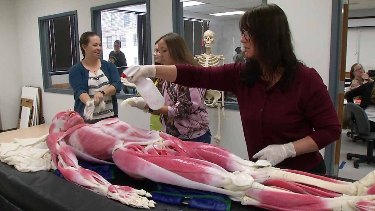 'SynDaver' A Practical Resource For TCC Students