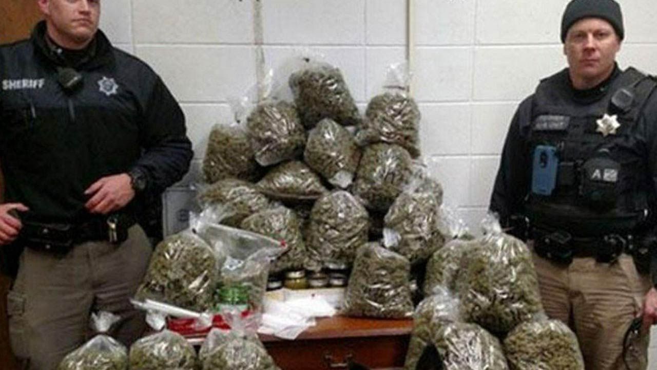 Police: Elderly Couple Hauled 60 Pounds Of Pot, Said It Was For Christmas Presents