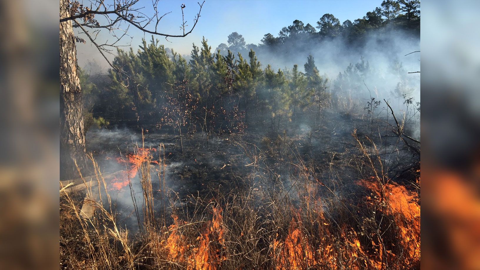 Multiple Wildfires Whip Up Across Northeast Oklahoma