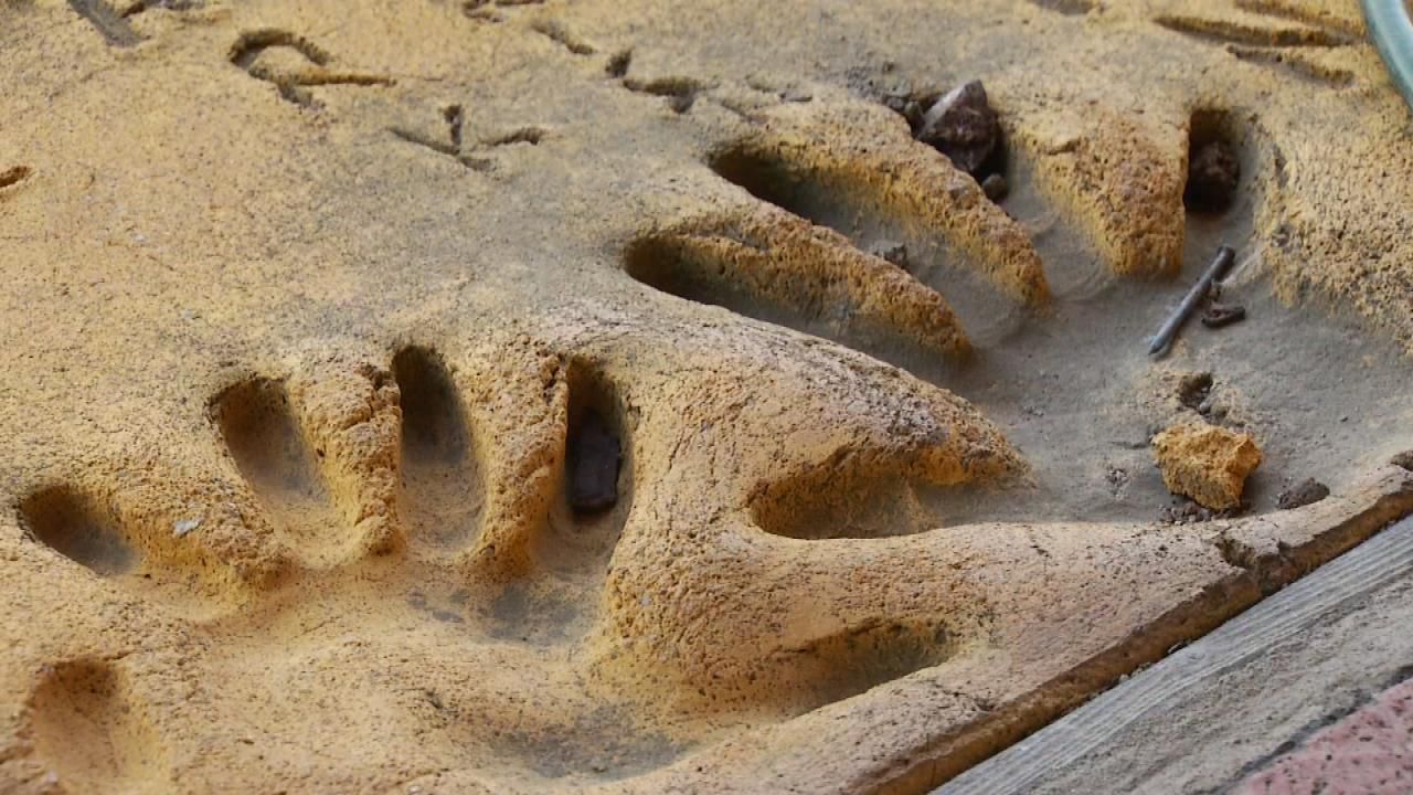 Celebrity Handprints Surround Tulsa Store