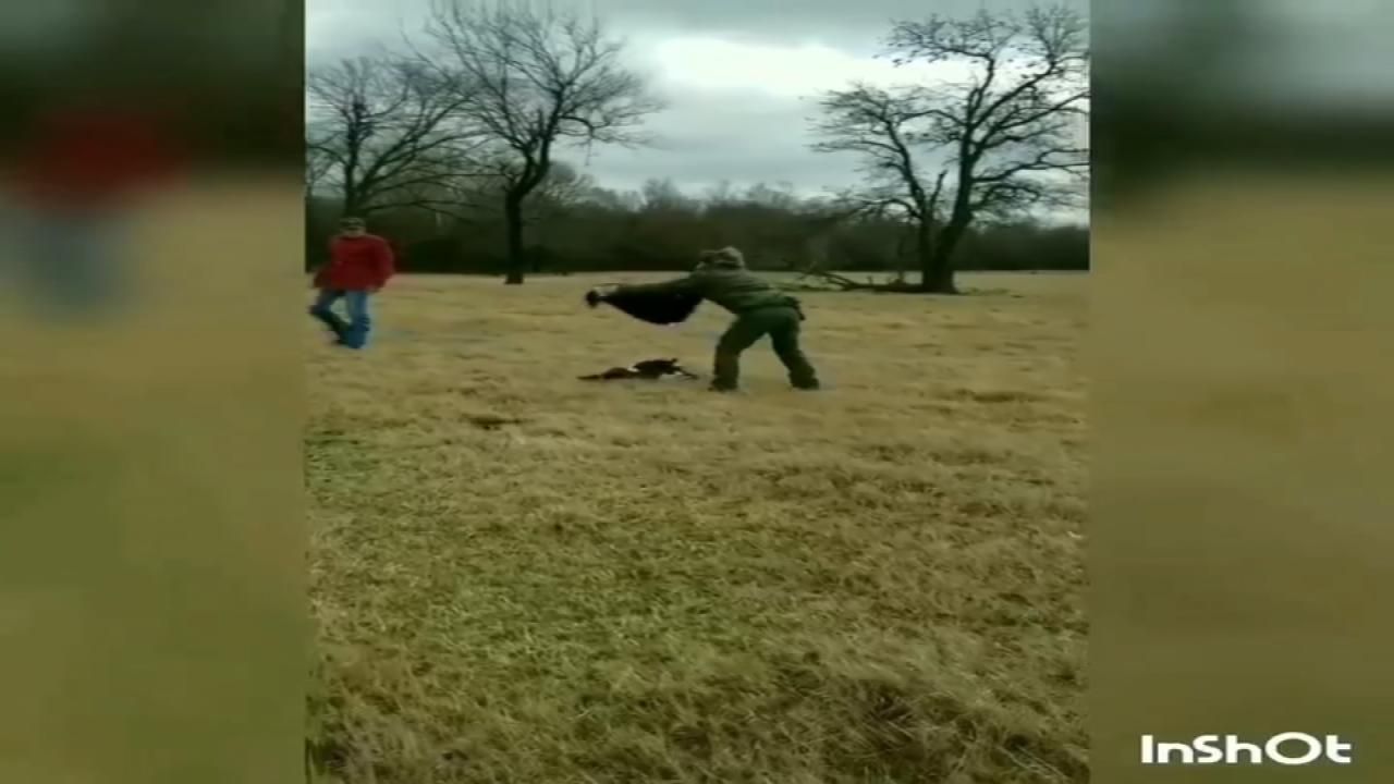 Bald Eagle Recovering In Tulsa After Found Shot In Delaware County