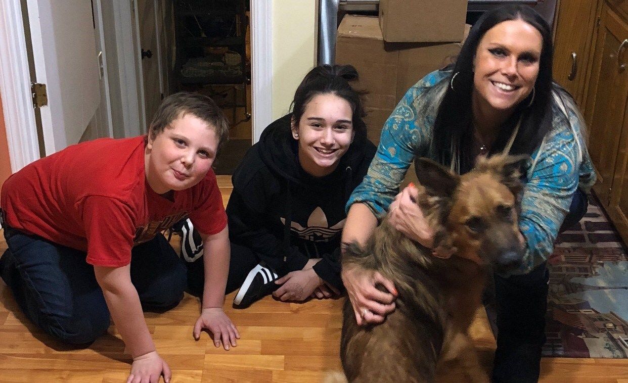 Dogs Rescued From Animal Hoarding May Have Been Poisoned