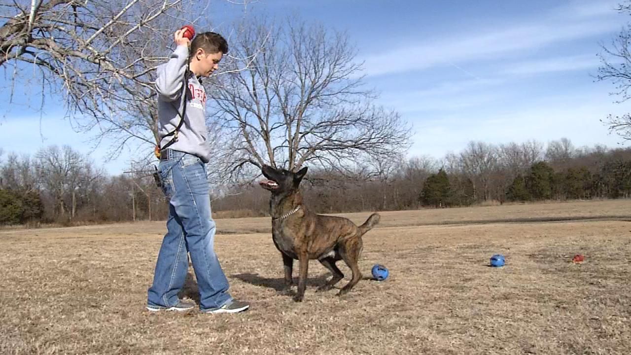 Fort Gibson Council Lets Retired Officer Keep K9 Partner