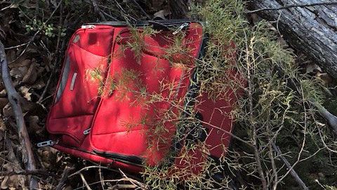 Dead Puppy Found In Suitcase Near Collinsville City Lake