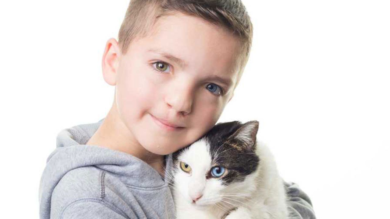 Bullied Owasso Boy - And His Cat - Inspiring Others