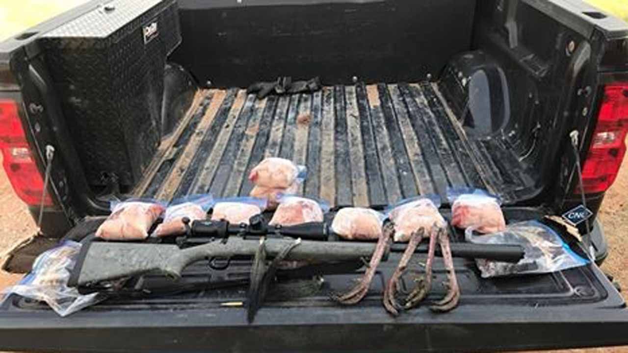 Man Arrested for Poaching Turkeys
