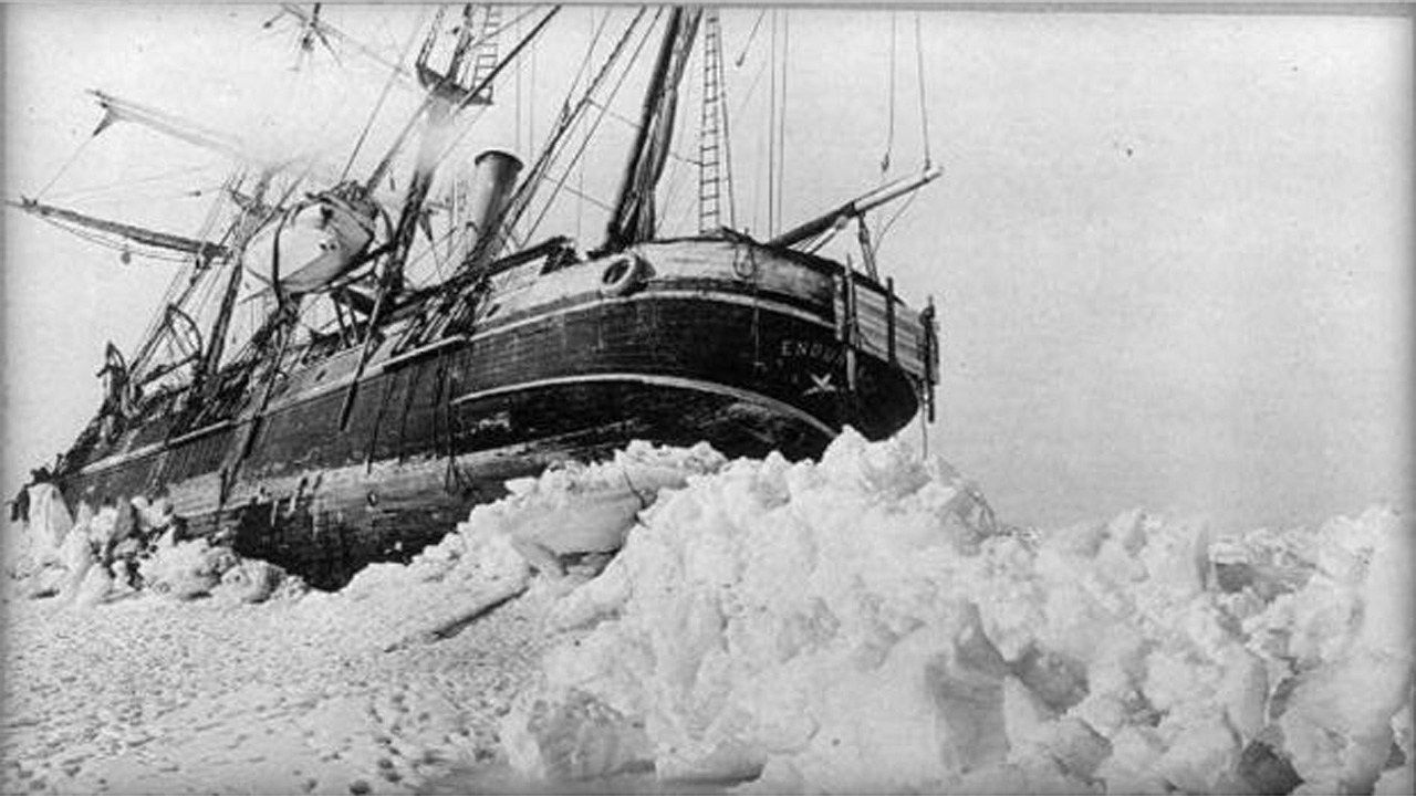 Expedition To Antarctica Hopes To Discover Famed Explorer's Lost Ship