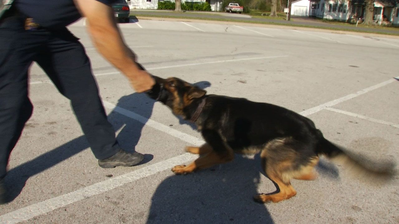 Broken Arrow Burglary Suspect No Match For K-9 Unit