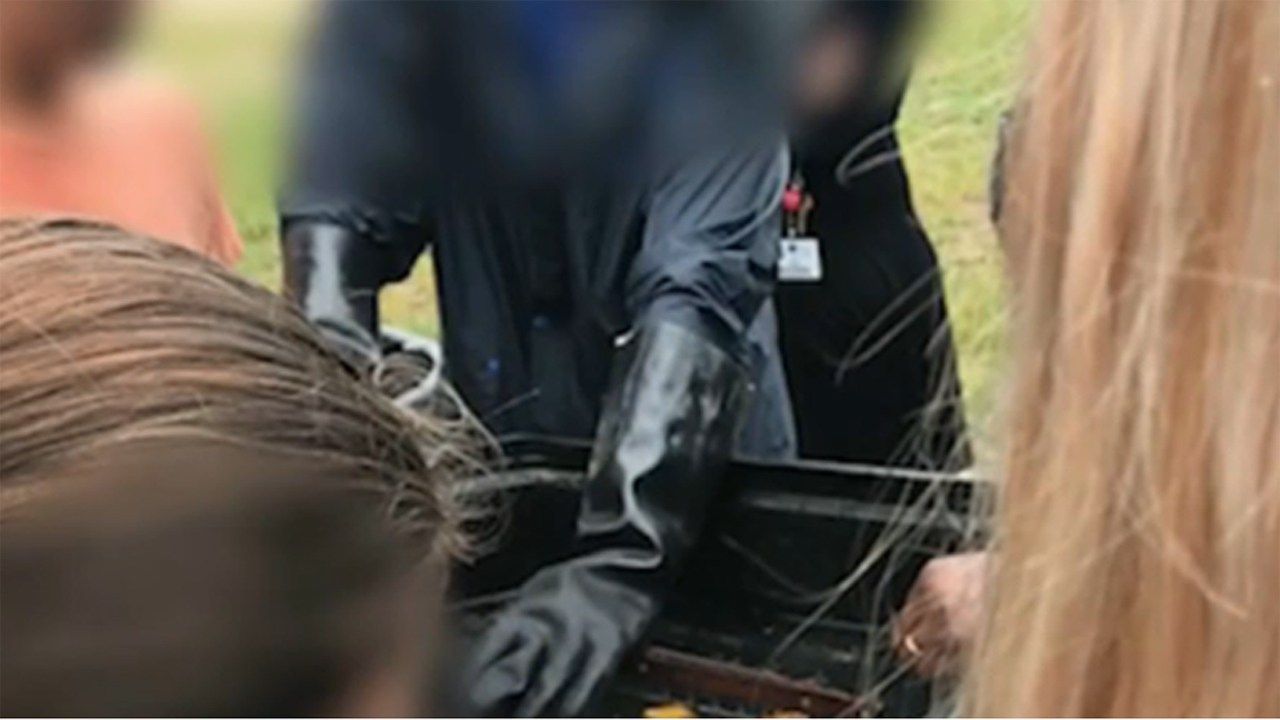 Florida Teacher Accused Of Drowning Raccoons With Students