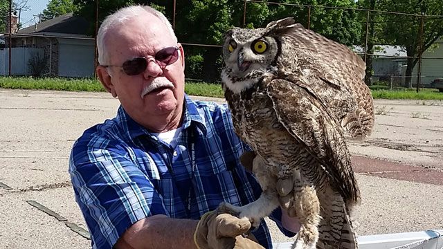 Owl Appears Grateful After Being Saved By Ponca City Man