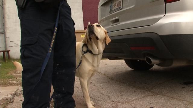 Sniffing Out Arsonists Is Tulsa Fire Investigator's Only Job