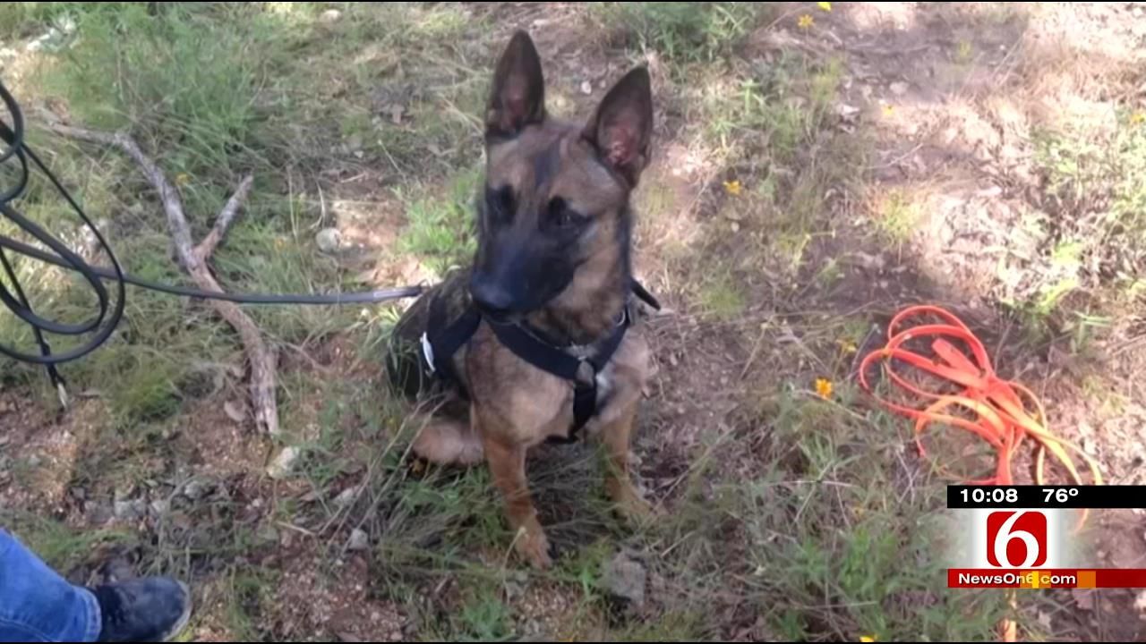 Oklahoma Search Dogs Return From Texas Flooding