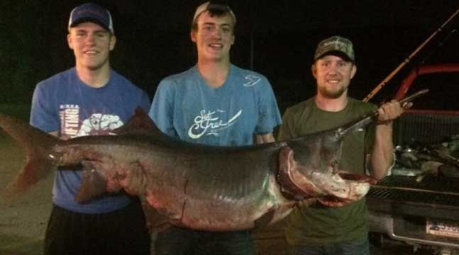 Muskogee Teen Catches Monster Spoonbill
