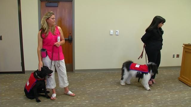 Dogs Used In Oklahoma Courtrooms To Comfort Crime Victims