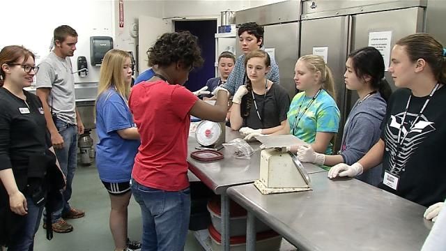 Oklahoma Aquarium Gives Kids A Chance To Be Marine Biologist
